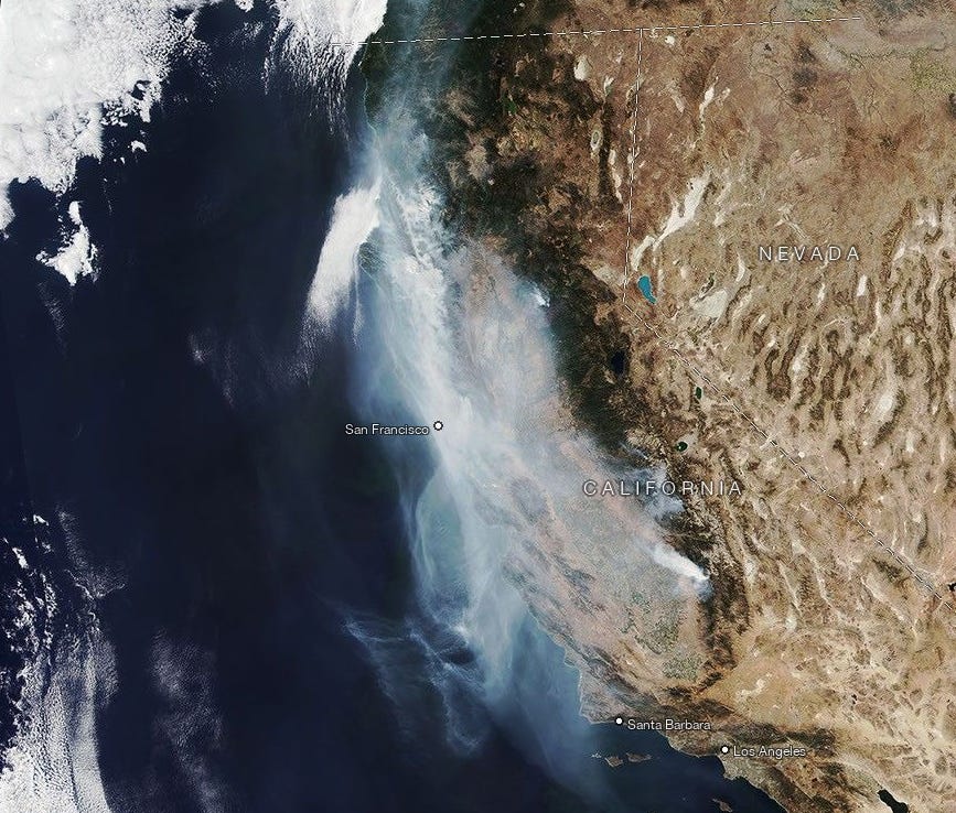 Smoke from the Glass Fire and surrounding California wildfires drifts west over the Pacific, October 1, 2020, five days into the Napa harvest. NASA Earth Observatory image by Joshua Stevens, VIIRS data from NASA EOSDIS/LANCE.